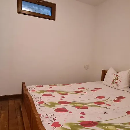 Spacious With Sea View Apartman
